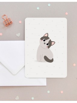 Carte chat