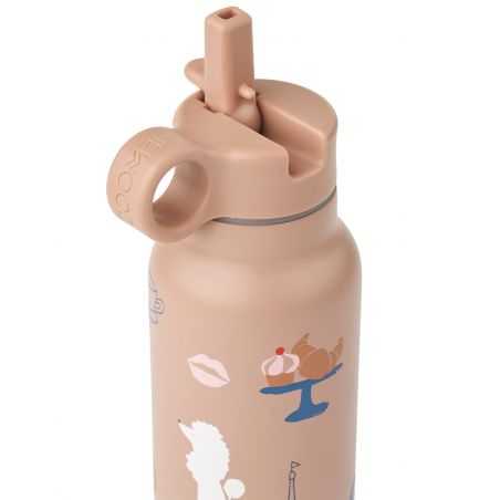 Gourde isotherme Falk 350ml | Paris