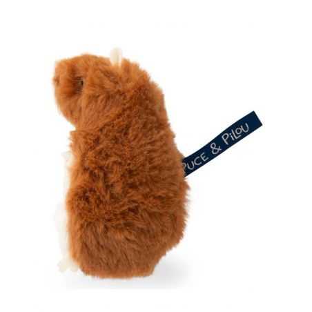 Hamster dent de lait | Puce & Pilou