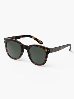 Lunettes de soleil adultes | Tortoise N