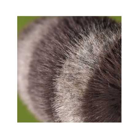 Peluche raton laveur Jellycat | Trixiwoo Raccoon